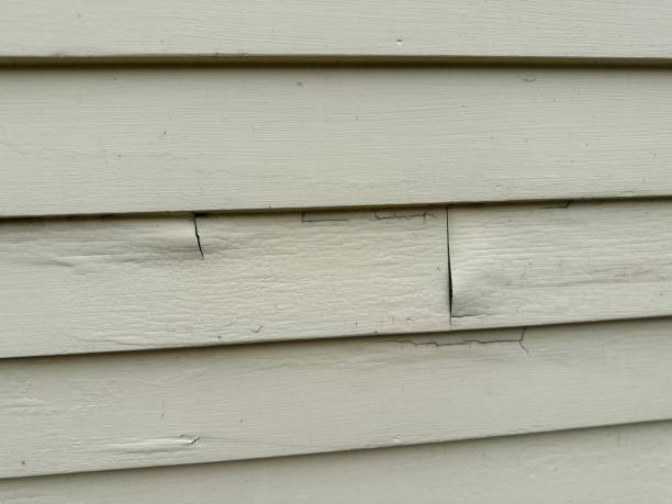 Best Custom Trim and Detailing for Siding  in USA